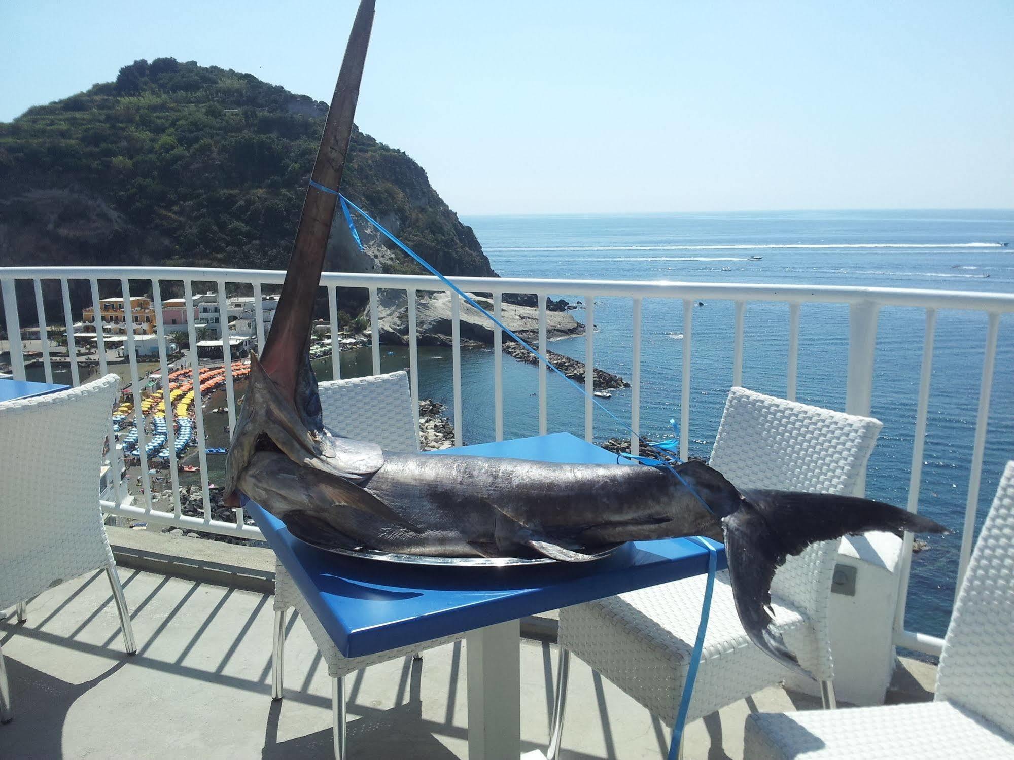 Hotel Villa Sirena Sant'Angelo  المظهر الخارجي الصورة